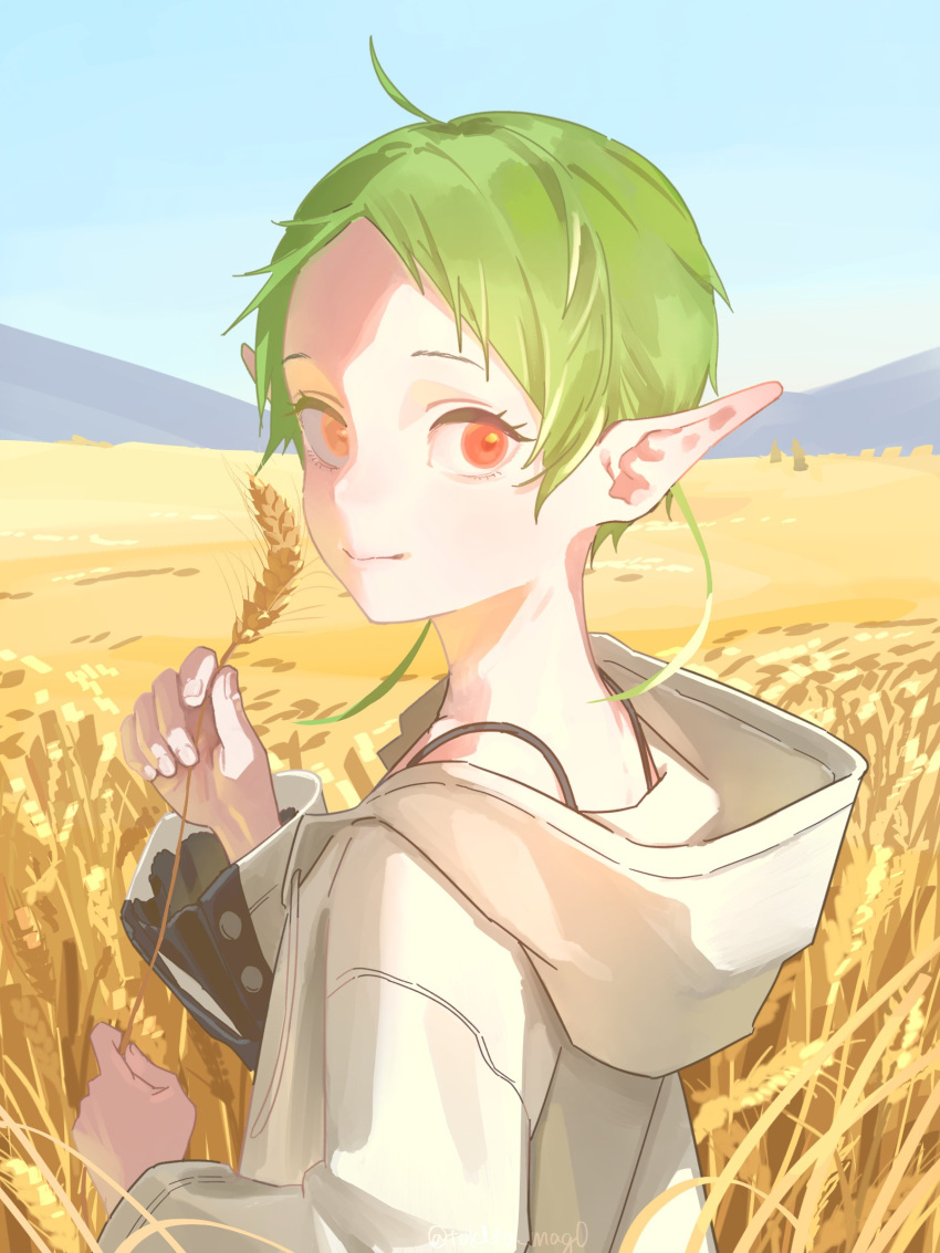 1girl, absurdres, day, green_hair, highres, holding_wheat, hood, hood_down