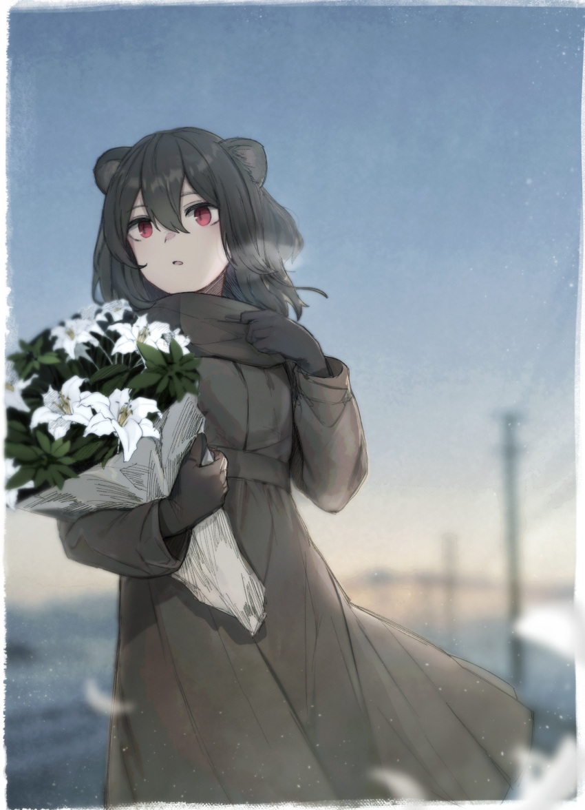 1girl, absinthe_(arknights), absurdres, animal_ears, arknights, bear_ears, bear_girl, black_gloves