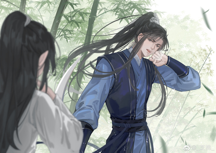 2boys, bamboo, bamboo_forest, bamboo_leaf, black_eyes, black_hair, black_sailor_collar, blue_hanfu