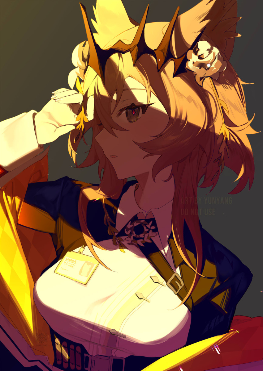 1girl, animal_ear_fluff, animal_ears, arknights, brown_eyes, brown_hair, cat_ears, cat_girl