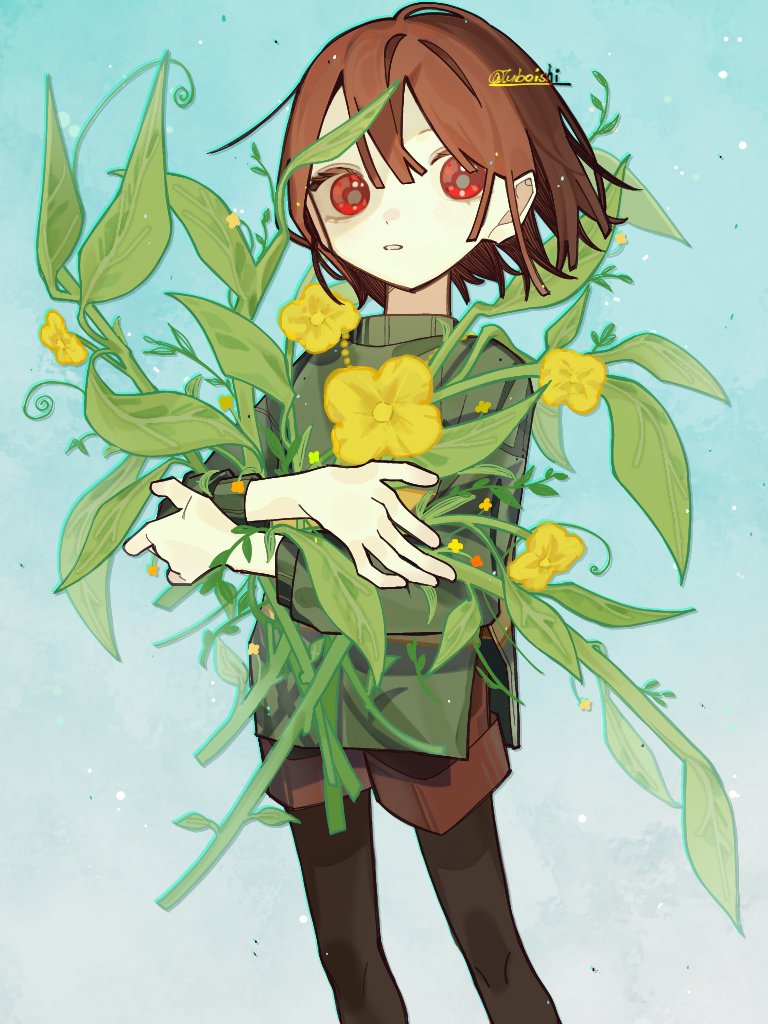 1other, brown_hair, brown_shorts, chara_(undertale), flower, green_sweater, holding, holding_flower