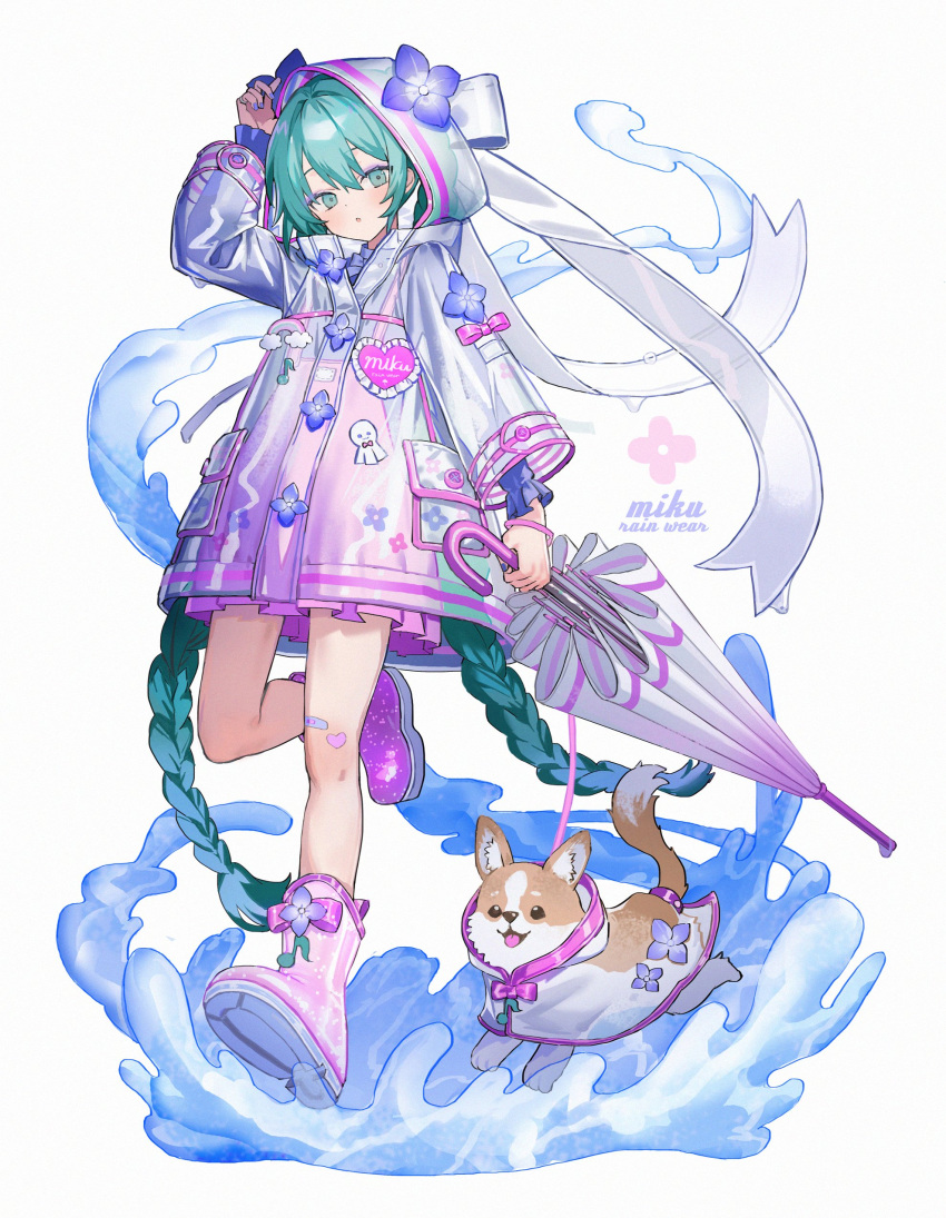 1girl, absurdres, animal, aqua_eyes, aqua_hair, bandaid, bandaid_on_knee, bandaid_on_leg