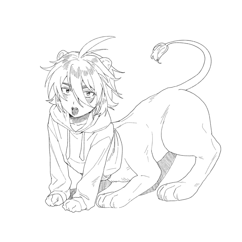 1boy, ahoge, animal_ears, chinese_commentary, commentary_request, drawstring, greyscale, hair_between_eyes, highres, hood, hood_down, hoodie, isoi_reiji, lion_boy, lion_ears, long_bangs, long_sleeves, male_focus, monochrome, monster_boy, monsterification, mrkkaochang, open_mouth, saibou_shinkyoku, sanpaku, short_hair, simple_background, solo, taur, white_background