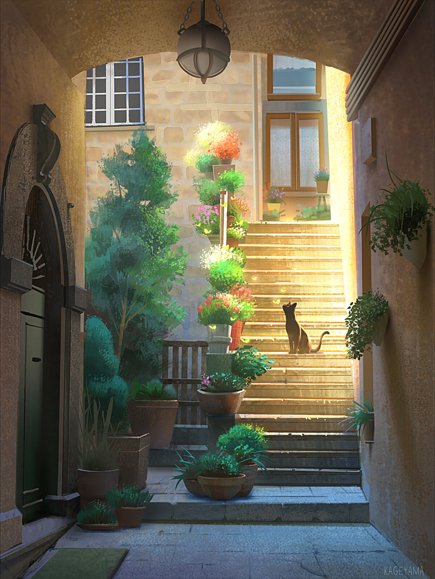 architecture, black_cat, cat, commentary, day, door, english_commentary, flower