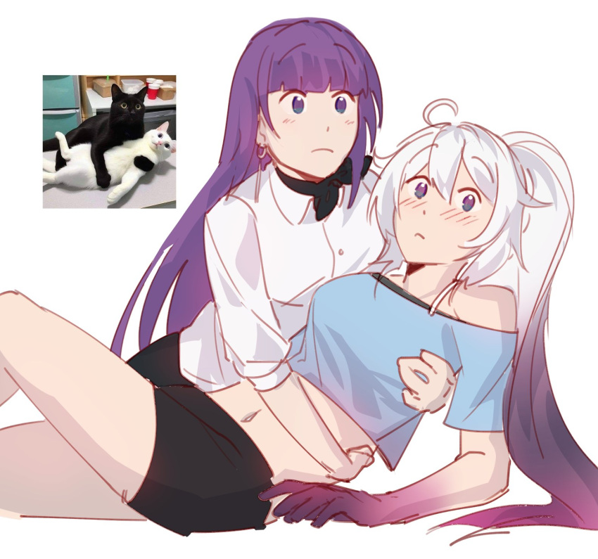 2girls, arm_around_back, bandana, bandana_around_neck, black_bandana, black_shorts, blue_shirt, blunt_bangs, cat, colored_extremities, commentary, earrings, frown, high_ponytail, highres, honkai_(series), honkai_impact_3rd, jewelry, kiana_kaslana, kiana_kaslana_(herrscher_of_finality), long_hair, midriff, mscheckacheck, multiple_girls, navel, photo-referenced, photo_inset, ponytail, purple_hair, purple_hands, raiden_mei, raiden_mei_(apho), reference_inset, shirt, short_sleeves, shorts, symbol-only_commentary, very_long_hair, violet_eyes, white_hair, white_shirt