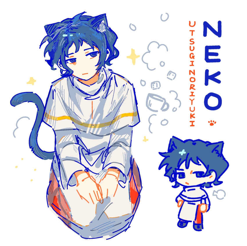 1boy, animal_ear_fluff, animal_ears, blue_eyes, blue_hair, capelet, cat_boy, cat_ears