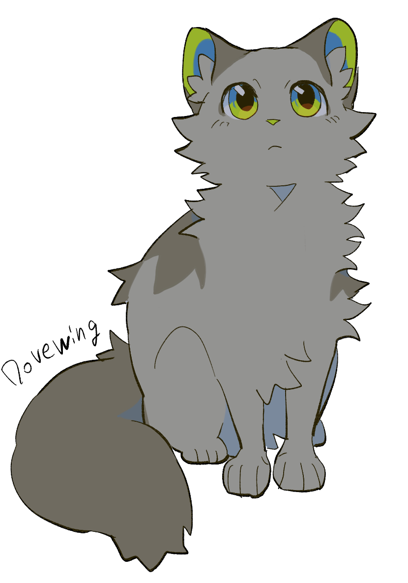 animal, cat, character_name, commentary, dovewing, green_eyes, grey_cat, looking_up