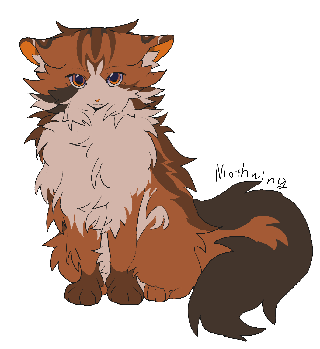 animal, animal_focus, brown_cat, cat, character_name, commentary, fluffy, minamia23