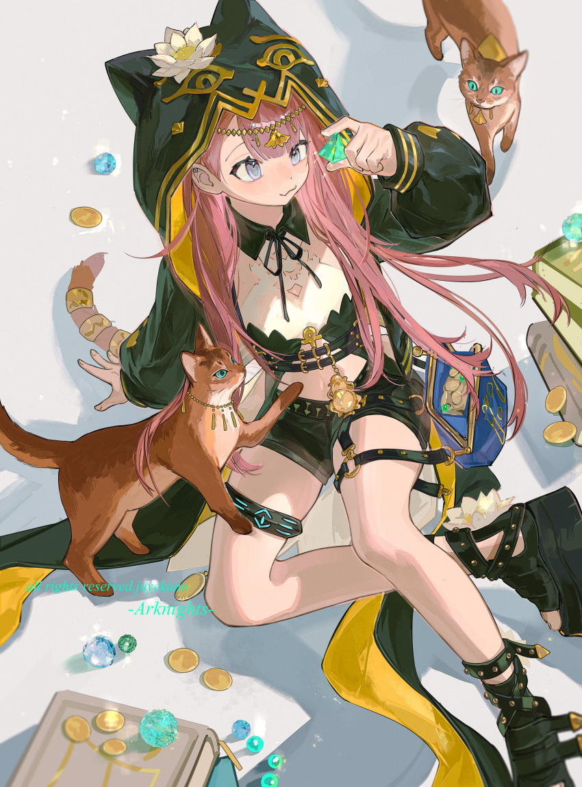 1girl, absurdres, animal_ear_hood, animal_hood, ankh, arknights, blue_eyes, brown_tail