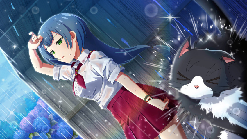 >_<, 1girl, ahoge, animal, arm_over_head, arm_up, black_cat, blue_eyes