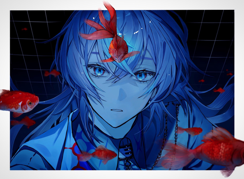 1boy, animal, blue_eyes, border, chain, collared_shirt, commentary_request, crossed_bangs, eyelashes, fish, goldfish, grid_background, highres, hoshirube_sho, hoshirube_sho_(1st_costume), jacket, long_hair, looking_at_animal, male_focus, nijisanji, parted_lips, roomnumber_310, shirt, solo, upper_body, white_border, wing_collar
