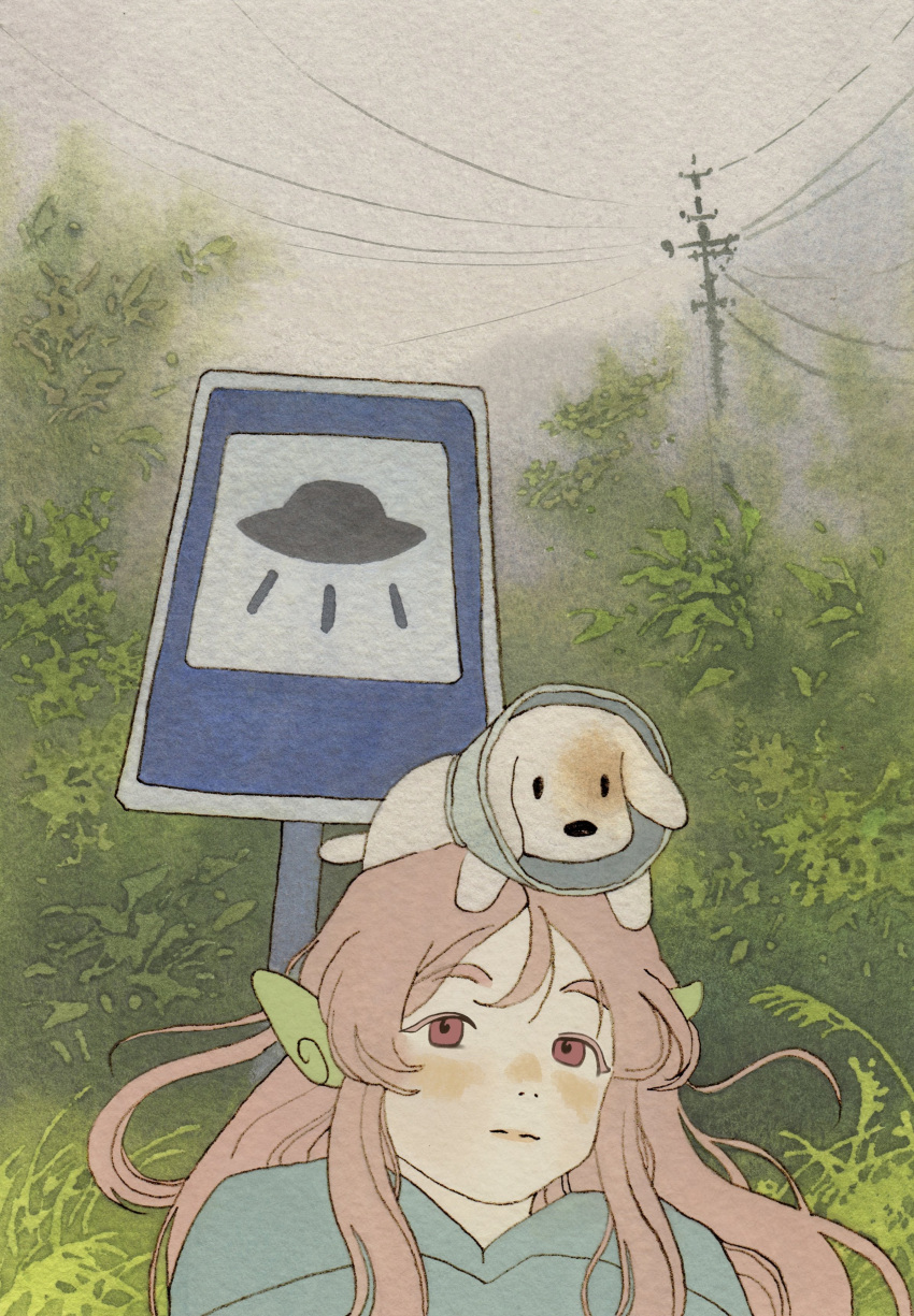 1girl, absurdres, animal, animal_on_head, blue_shirt, bush, commentary_request, dog