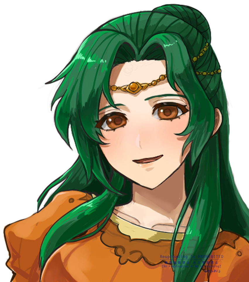 1girl, brown_eyes, brown_pupils, circlet, commentary_request, elincia_ridell_crimea, fire_emblem, fire_emblem:_path_of_radiance