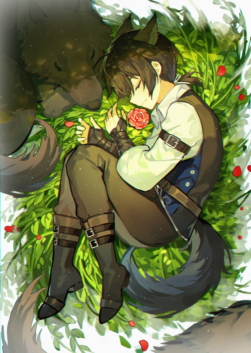 1boy, absurdres, aged_down, animal_ears, arm_wrap, ayn_alwyn, ayn_alwyn_(spirit_world), black_boots, black_hair, black_pants, black_vest, boots, child, chinese_commentary, closed_eyes, closed_mouth, collared_shirt, curled_up, fetal_position, flower, from_above, full_body, hair_between_eyes, highres, kazenemuri, light_particles, long_sleeves, lovebrush_chronicles, low_ponytail, lying, male_focus, medium_hair, on_grass, on_side, pants, petals, ponytail, red_flower, shirt, sleeping, sleeve_garter, smile, solo, tail, vest, white_shirt, wolf, wolf_boy, wolf_ears, wolf_tail