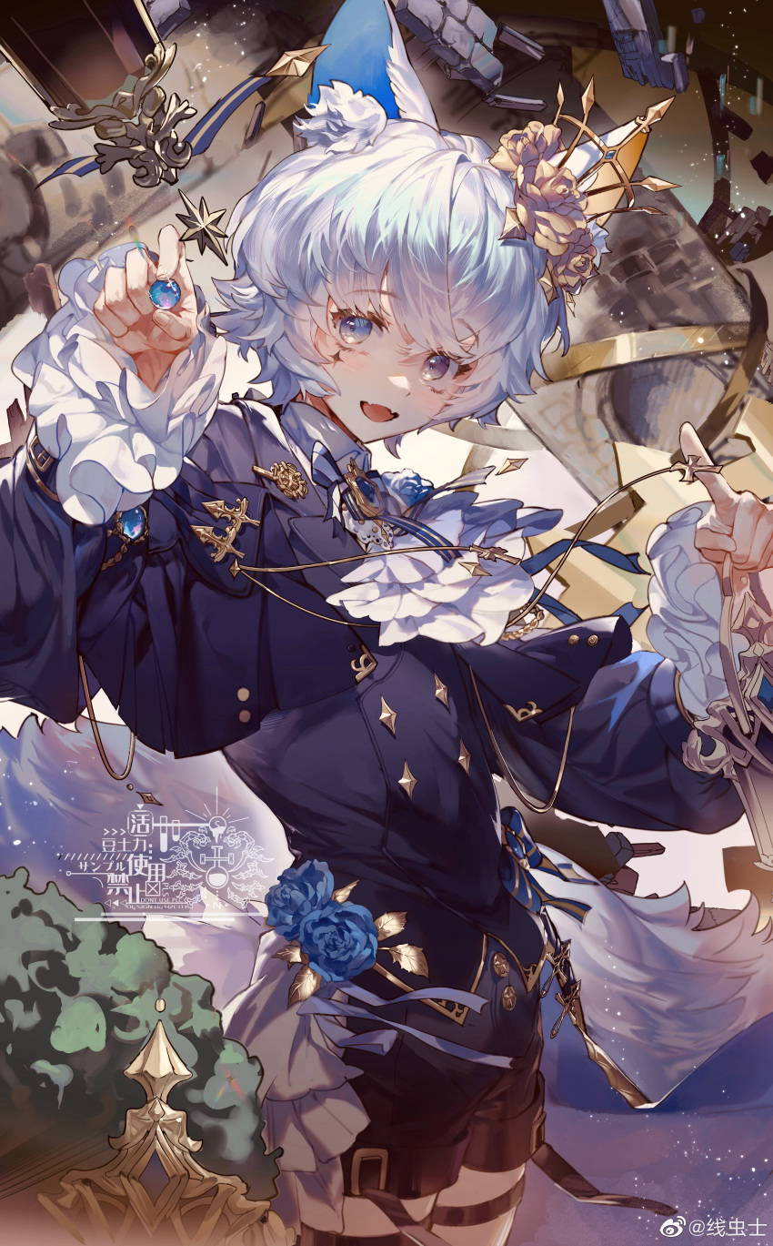 1boy, absurdres, androgynous, animal_ears, bishounen, blue_eyes, blue_hair, blunt_bangs