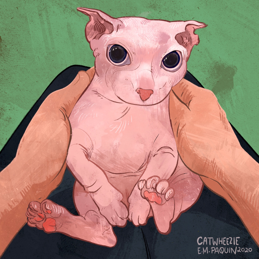 1other, absurdres, animal, animal_focus, bingus, black_pants, cat, catwheezie, commentary, english_commentary, green_background, highres, holding, holding_animal, holding_cat, looking_to_the_side, on_lap, original, pants, pawpads, sideways_glance, sitting, sphynx_cat