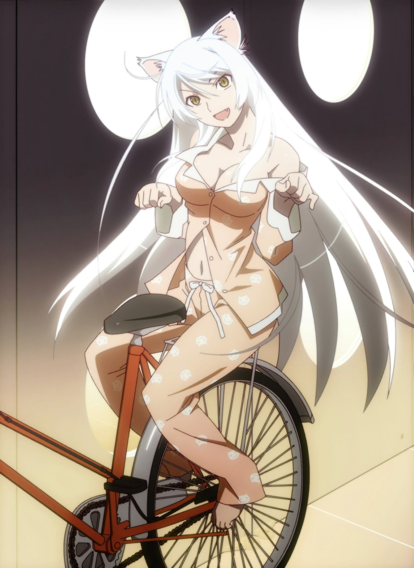 animal_ears, bakemonogatari, barefoot, bicycle, breasts, cat_ears, cat_pose, cleavage