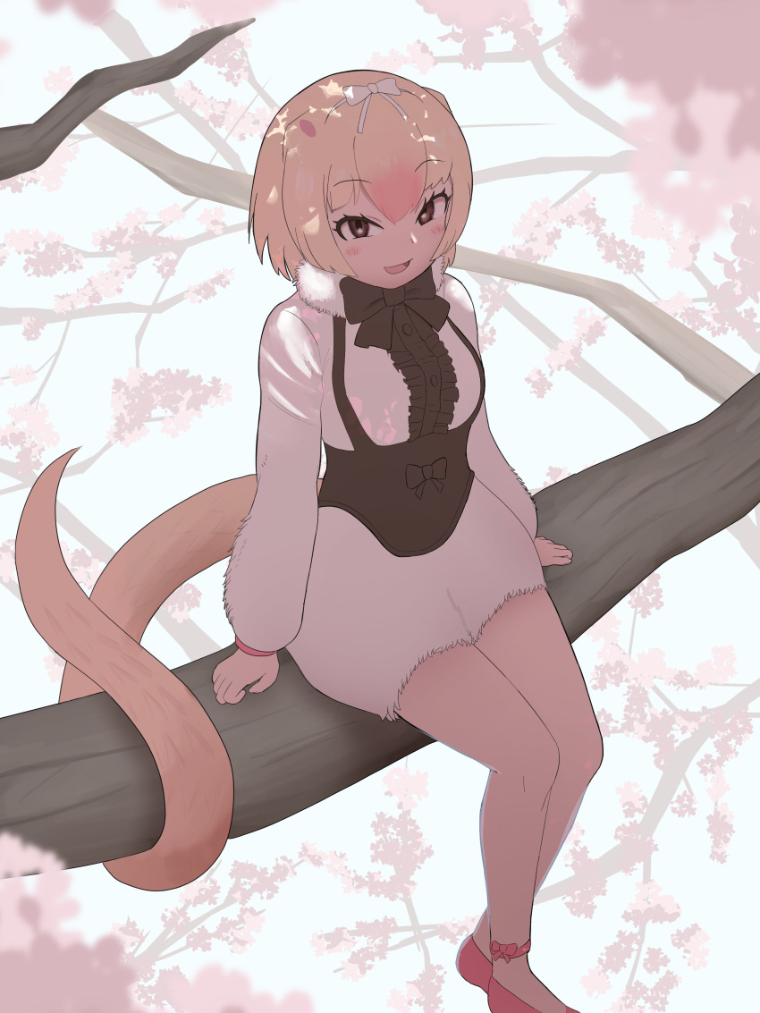 1girl, absurdres, anteater_ears, anteater_tail, black_bow, black_bowtie, black_corset, black_frills