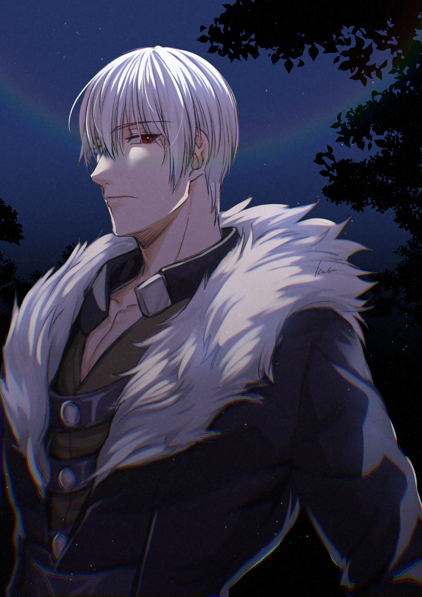 1boy, aleph_coulson, black_jacket, character_request, check_character, fur_trim, hair_between_eyes, highres, jacket, kusu_(moo1225), male_focus, night, outdoors, red_eyes, solo, upper_body, white_hair, yuukyuu_gensoukyoku