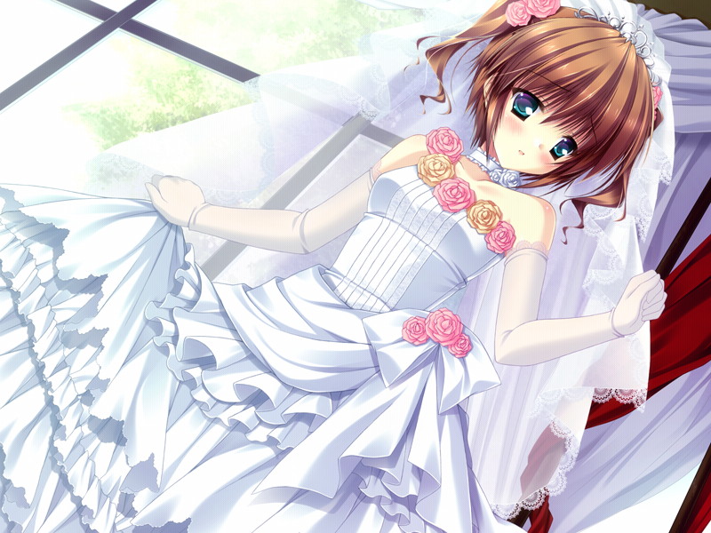 bridal_veil, bride, brown_hair, choker, circus_(studio), curtains, day, dress