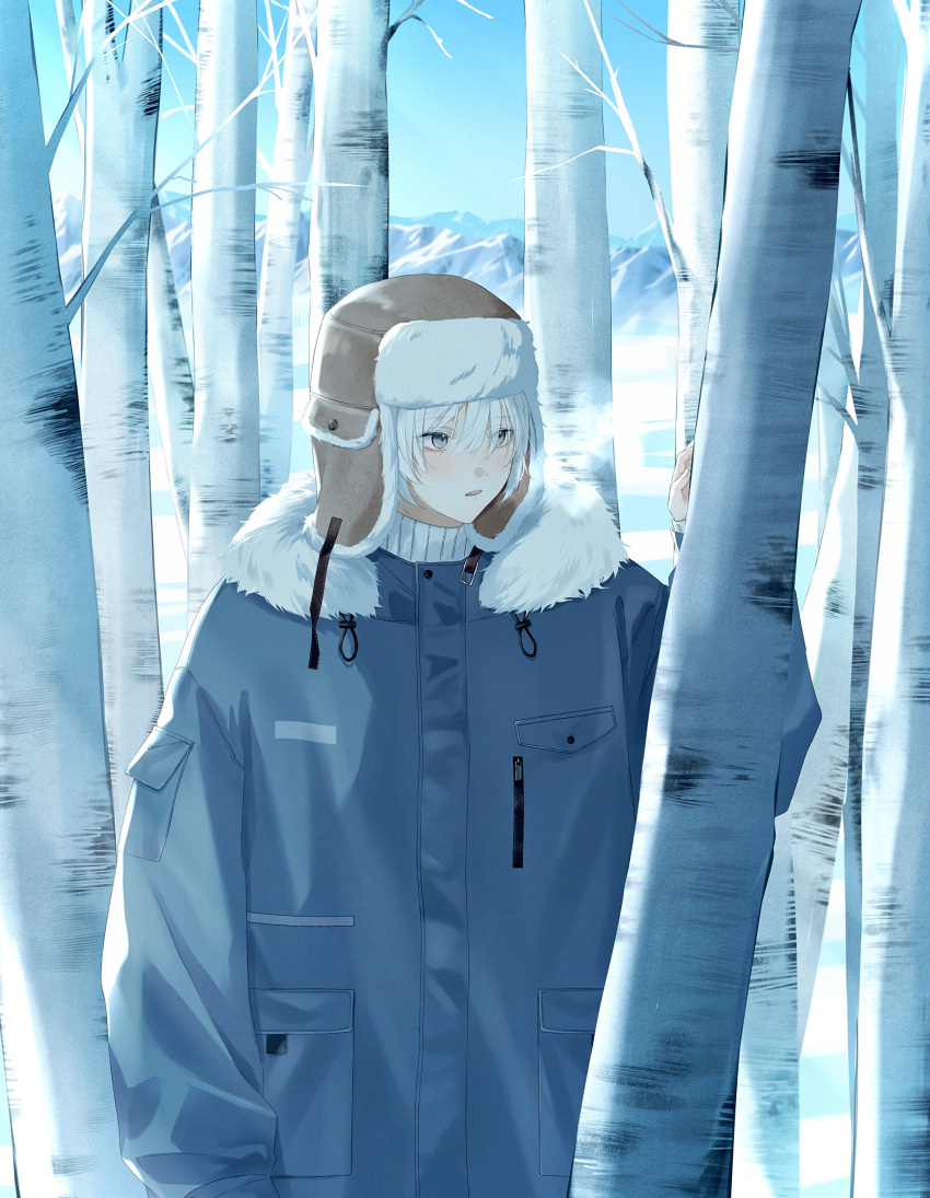 1boy, absurdres, bare_tree, birch_tree, blue_jacket, blue_sky, breath, brown_hair