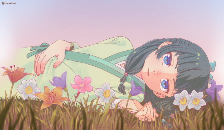 1girl, blue_eyes, commentary, cropped_torso, flower, freckles, gradient_sky, green_hair