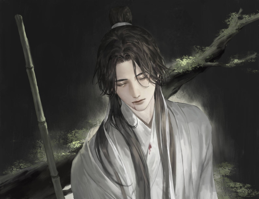 1boy, blood, blood_from_mouth, blood_on_clothes, blood_on_face, branch, brown_hair, chinese_clothes, chinese_commentary, closed_eyes, hair_ribbon, hanfu, long_hair, male_focus, ribbon, shen_qiao, solo, thousand_autumns:_qian_qiu, topknot, upper_body, white_hanfu, white_ribbon, yangshu893