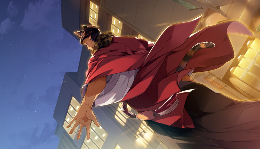 1boy, animal_ear_fluff, animal_ears, black_pants, braid, brown_hair, building, cat_boy