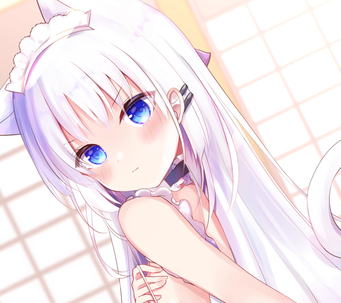 1girl, =_hair_ornament, alternate_costume, animal_ears, apron, black_choker, blue_eyes, blush, cat_ears, cat_girl, cat_tail, choker, closed_mouth, commentary, dutch_angle, enmaided, frilled_apron, frilled_choker, frills, frown, hair_between_eyes, hair_ornament, hairclip, indoors, kemonomimi_mode, long_hair, looking_at_viewer, maid, maid_apron, maid_headdress, naruse_shiroha, portrait, solo, straight_hair, summer_pockets, symbol-only_commentary, tail, v-shaped_eyebrows, white_apron, white_hair, yutori_z71