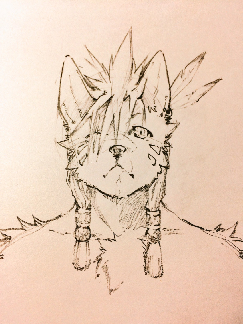 1boy, animal_ears, animal_nose, closed_mouth, collarbone, commentary_request, earrings, facial_mark
