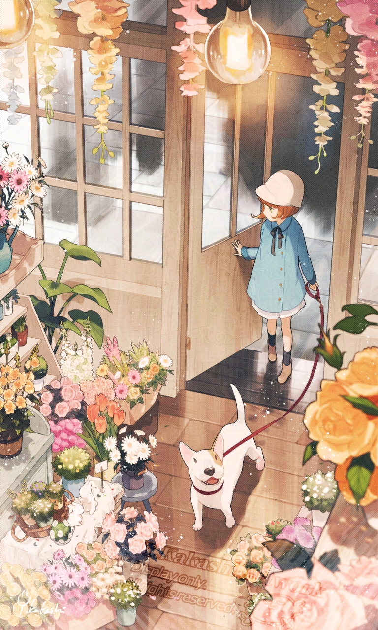 1girl, black_ribbon, black_socks, blue_dress, blue_flower, boots, brown_boots, bull_terrier