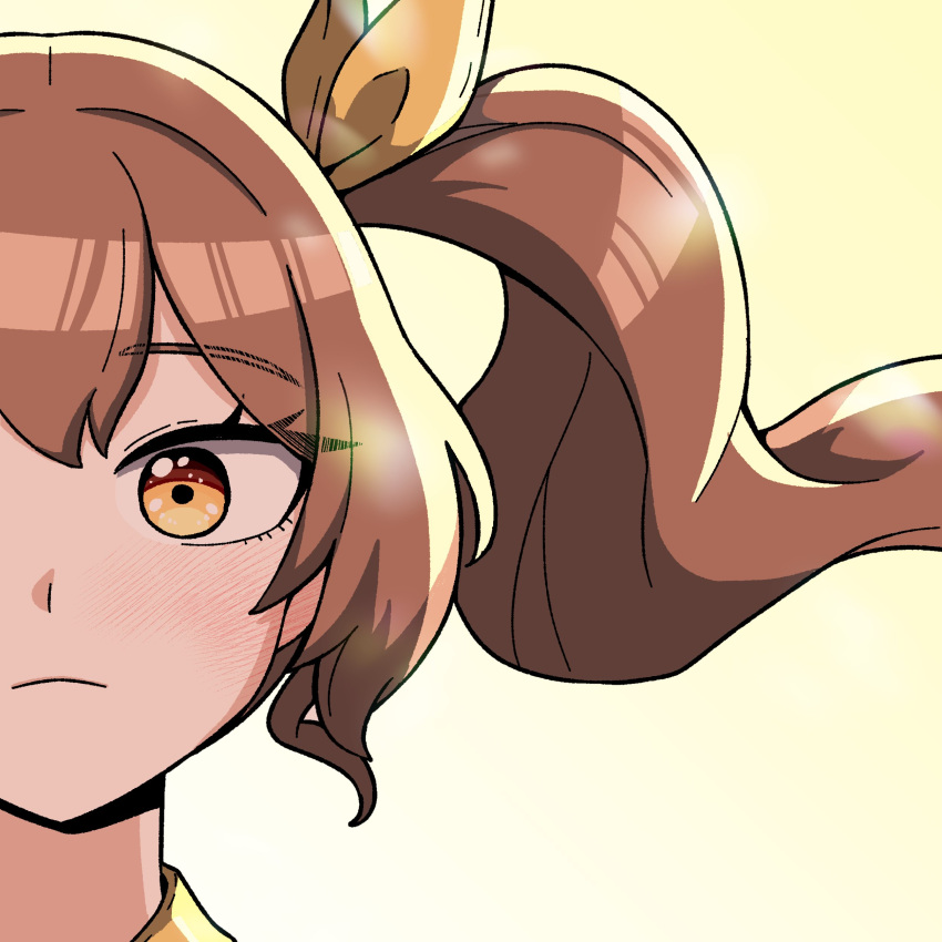 1girl, absurdres, blush, brown_hair, closed_mouth, highres, long_hair, ponytail