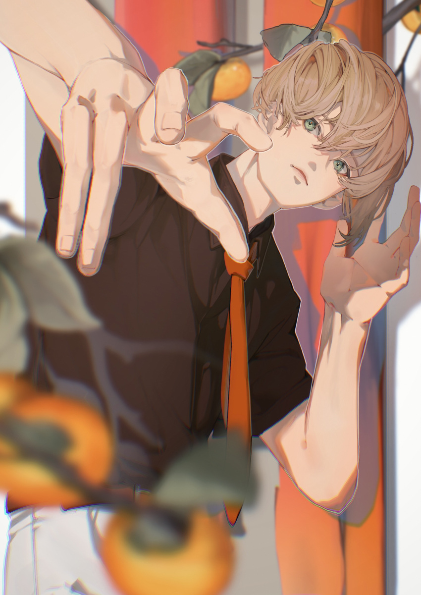 1boy, absurdres, black_shirt, blurry, blurry_foreground, brown_hair, closed_mouth, commentary_request, food, fruit, green_eyes, highres, looking_at_viewer, male_focus, necktie, ooba_itori, original, persimmon, red_necktie, shirt, short_sleeves, solo