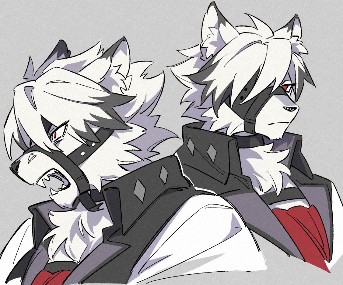 1boy, angry, animal_ear_fluff, animal_ears, black_collar, black_hair, body_fur, close-up