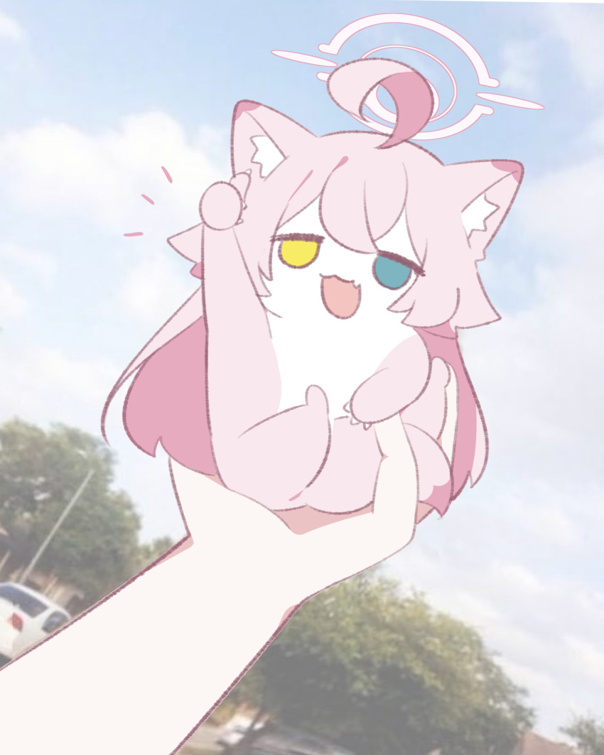absurdres, animalization, blue_archive, blue_eyes, cat, commentary_request, halo, hedgehog_lift_(meme)