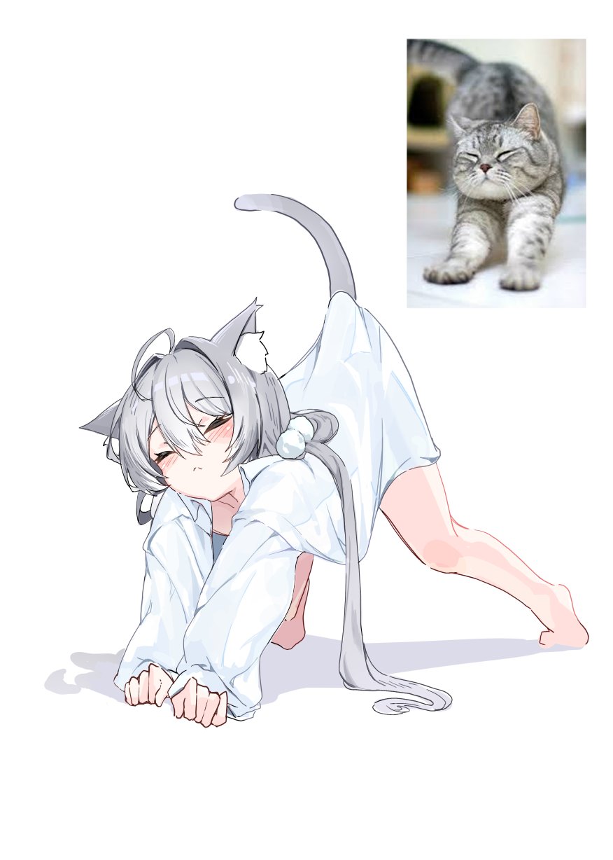 1girl, ahoge, animal_ears, barefoot, cat_ears, cat_girl, cat_tail, closed_eyes, closed_mouth, full_body, highres, long_hair, mocha_kura, original, photo-referenced, shadow, simple_background, solo, stretching, tail, white_background