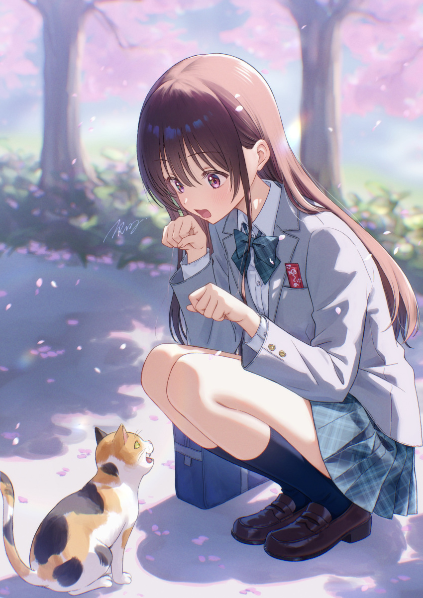 1girl, absurdres, aisaka_youko, bag, black_socks, blazer, blue_bag, blurry, blurry_background, bow, bowtie, brown_hair, brown_shoes, calico, calico_cat, cat, cherry_blossoms, collared_shirt, commentary_request, cover, cover_page, day, doujin_cover, dress_shirt, falling_petals, full_body, grey_jacket, hair_between_eyes, hands_up, highres, isshokuitaru, jacket, kimoota_idol_yarutteyo, loafers, long_hair, long_sleeves, looking_at_animal, open_mouth, outdoors, paw_pose, petals, plaid_bow, plaid_bowtie, plaid_clothes, plaid_skirt, pleated_skirt, school_bag, school_uniform, shirt, shoes, signature, skirt, socks, solo, squatting, sunlight, textless_version, tree, violet_eyes, white_shirt