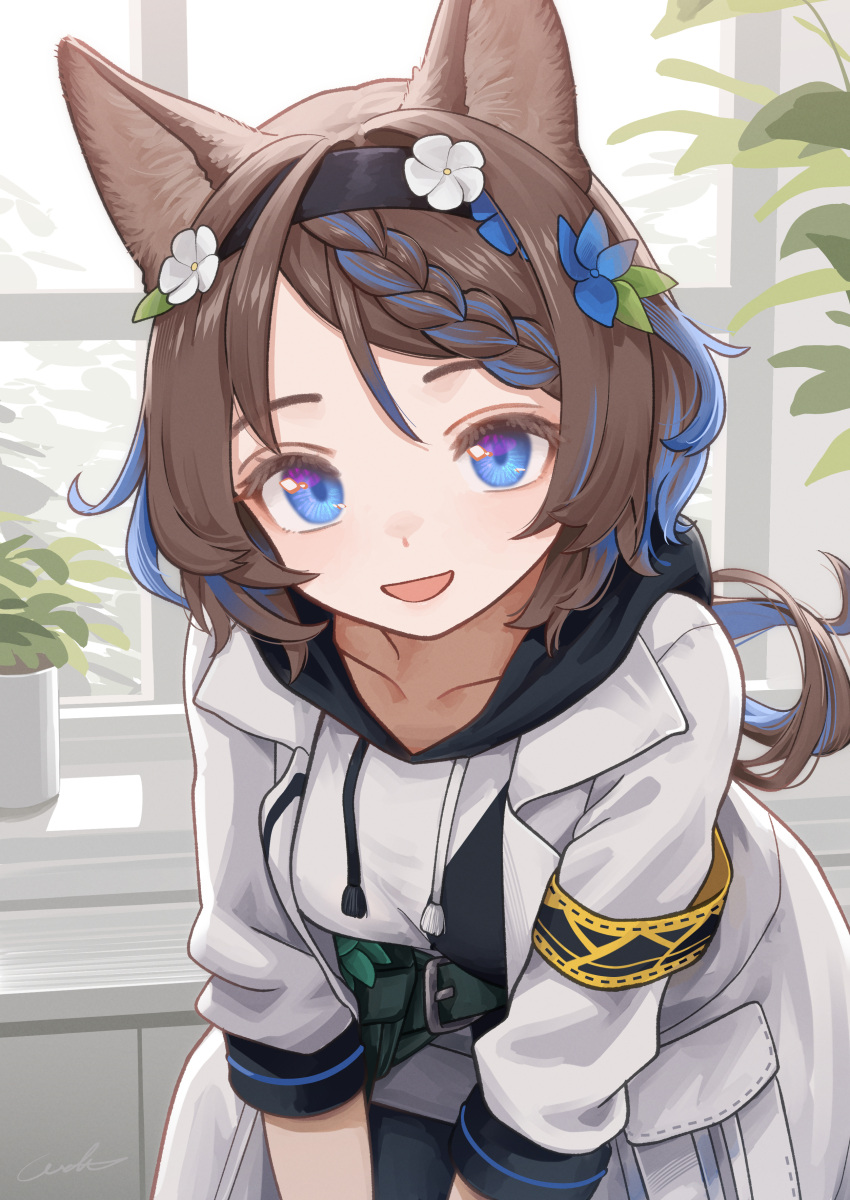 1girl, absurdres, animal_ears, arknights, aroma_(arknights), black_hairband, blue_eyes, breasts