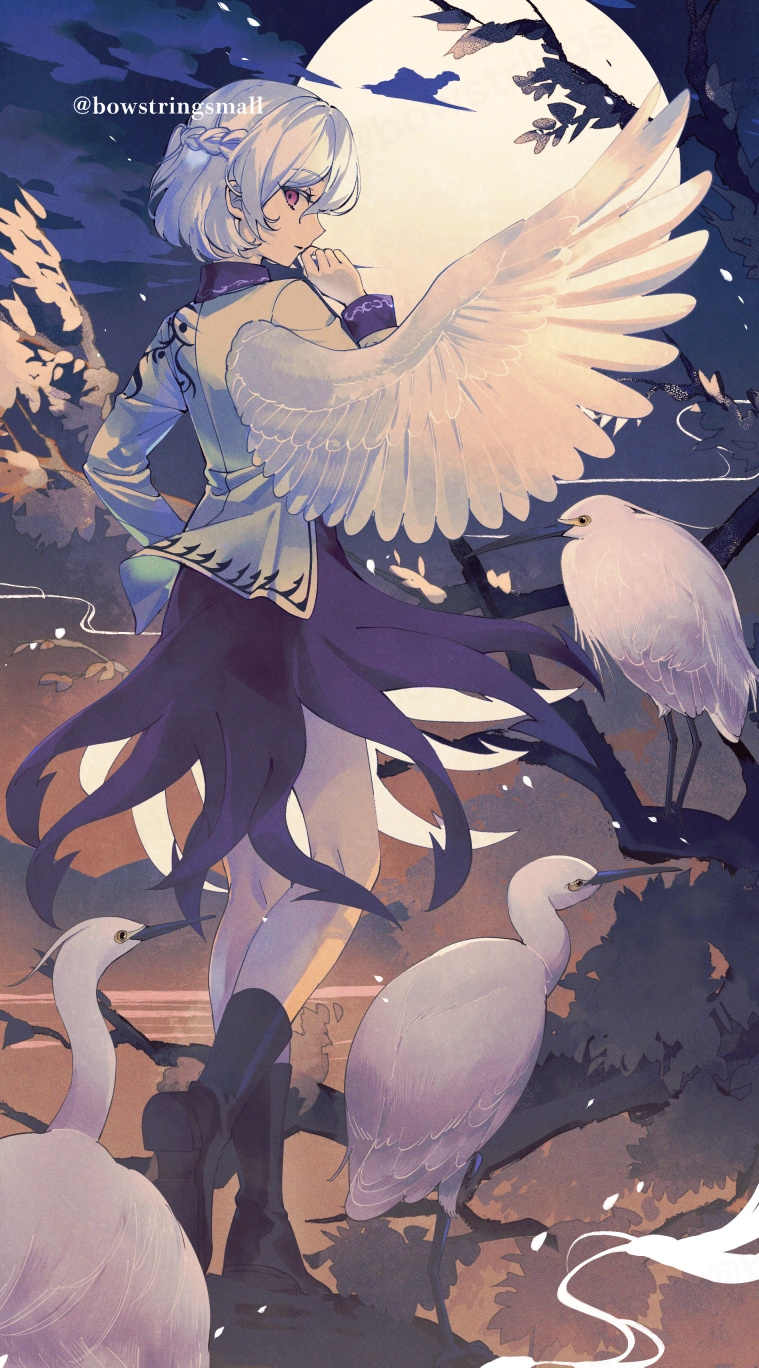 1girl, bird, black_boots, boots, braid, clouds, commentary_request, dress
