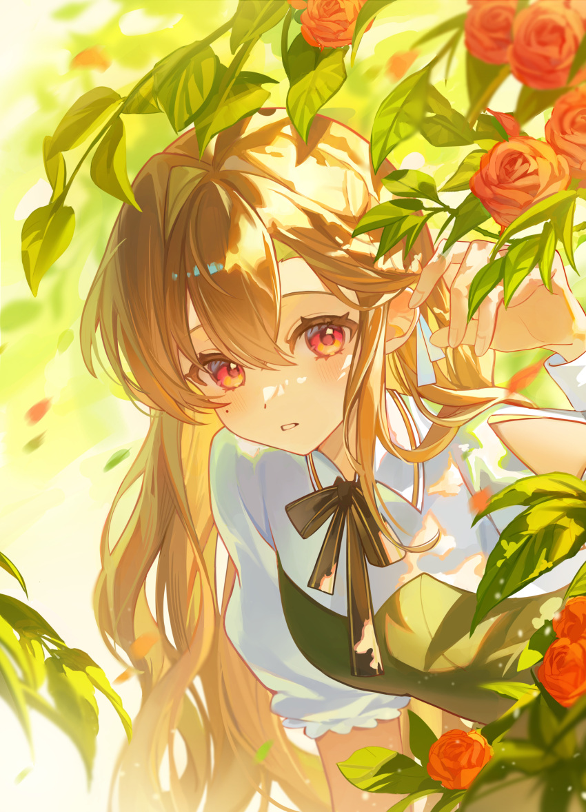 1girl, absurdres, black_ribbon, brown_hair, flower, hair_between_eyes, highres, long_hair