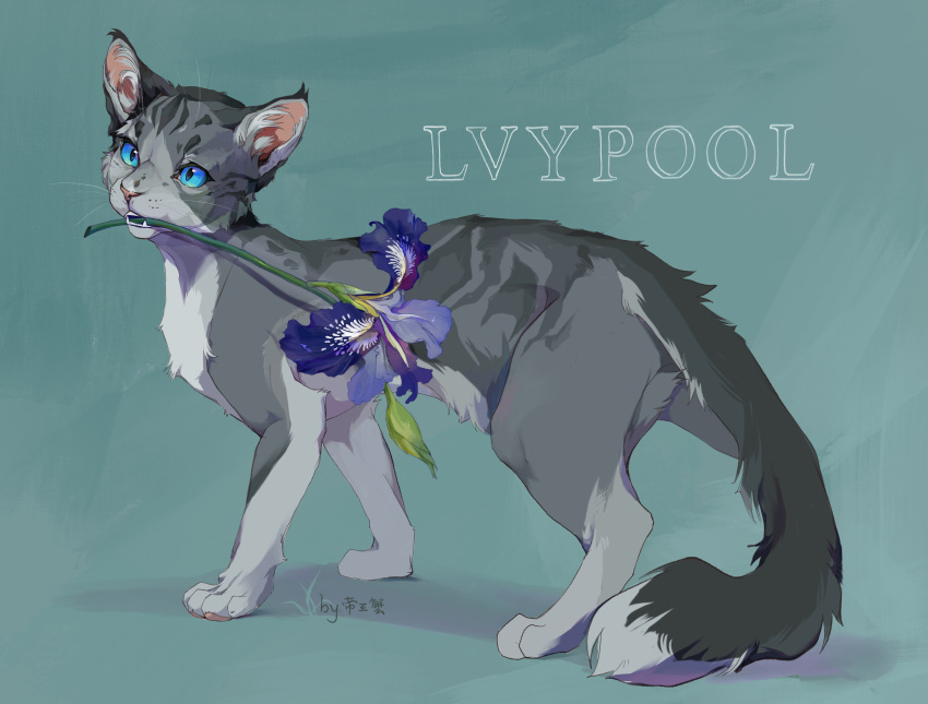 absurdres, animal, animal_focus, aqua_background, blue_eyes, cat, character_name, chinese_commentary