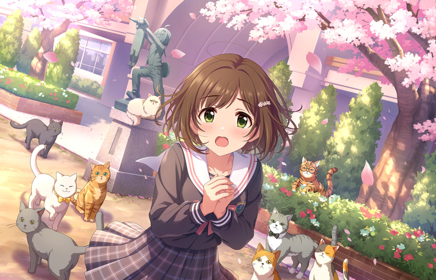 1girl, :o, black_cat, blush, brown_cat, brown_hair, brown_serafuku, calico