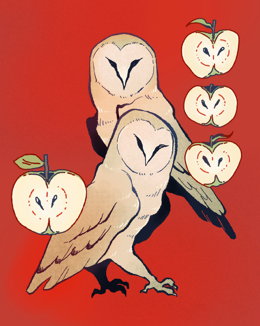 apple, barn_owl, bird, facing_viewer, food, fruit, highres, lleyksie