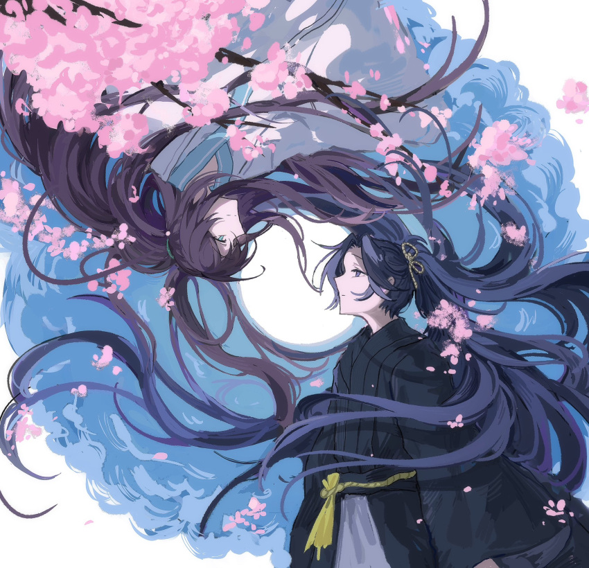 1boy, 1girl, aqua_eyes, black_hair, black_robe, blue_eyes, cherry_blossoms, hair_spread_out