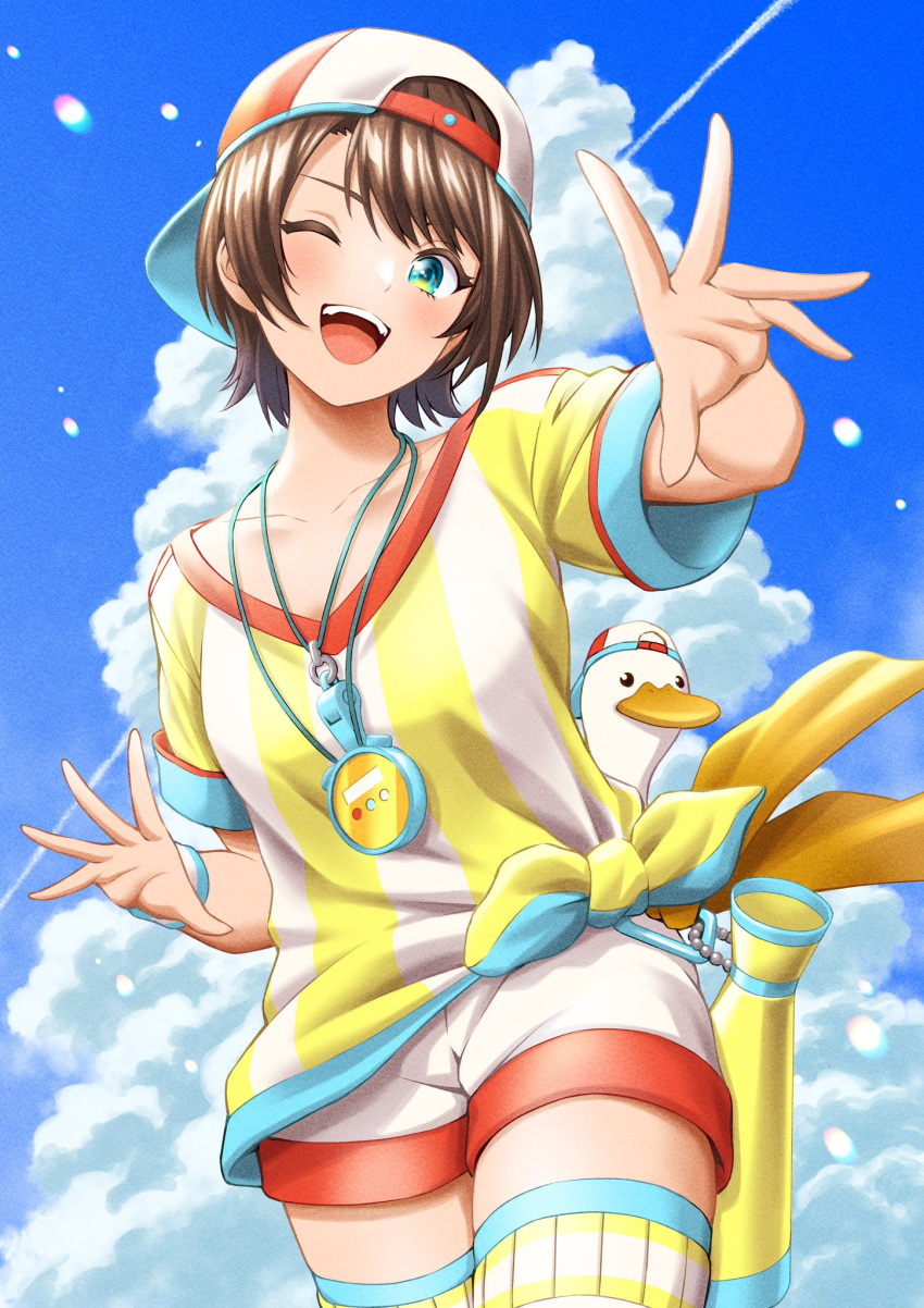 1girl, animal, baseball_cap, bird, black_hair, clouds, cumulonimbus_cloud, duck