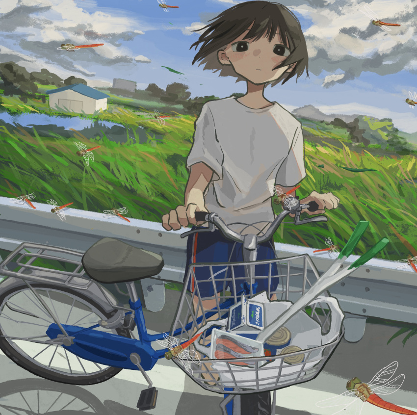 1girl, absurdres, amamoto_air, autumn, bag, bicycle, bicycle_basket, black_eyes, blue_shorts, blue_sky, brown_hair, bug, building, can, canned_food, closed_mouth, clouds, cloudy_sky, commentary_request, dragonfly, fish_(food), highres, looking_at_viewer, original, outdoors, pushing_bicycle, road, shirt, shopping_bag, short_hair, short_sleeves, shorts, sky, solo, spring_onion, standing, t-shirt, white_shirt, wind