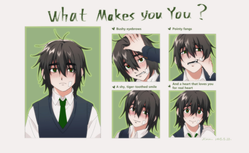 1boy, absurdres, black_hair, blue_sweater_vest, collared_shirt, degrees_of_lewdity, english_text, green_eyes