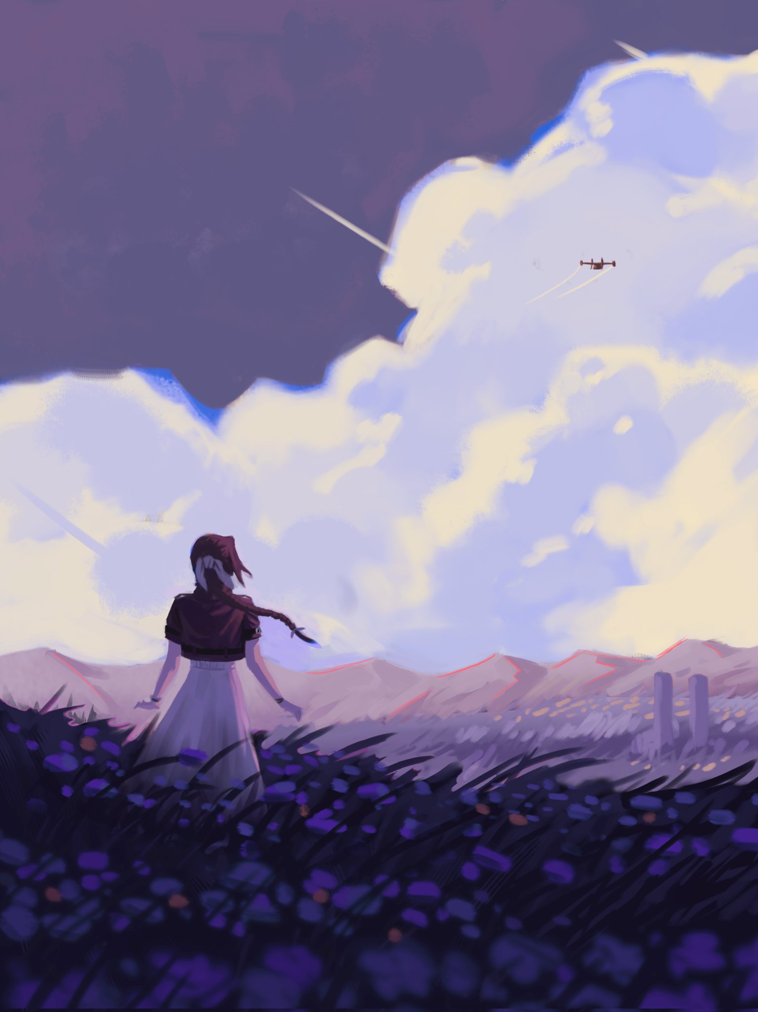 1girl, aerith_gainsborough, aircraft, airplane, bangle, biplane, bracelet, braid