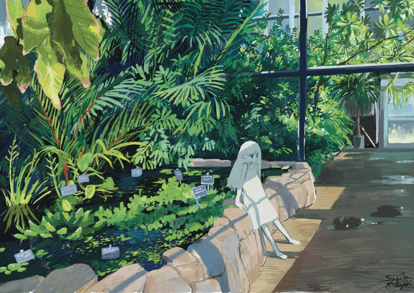 1girl, absurdres, barefoot, colored_skin, commentary_request, dress, fern, greenhouse, highres, lily_pad, long_hair, nature, original, plant, pond, potted_plant, rock, scenery, signature, sitting, sleeveless, sleeveless_dress, solo, sugita_magari, sunlight, tree, water, white_dress, white_hair, white_skin, window_shadow