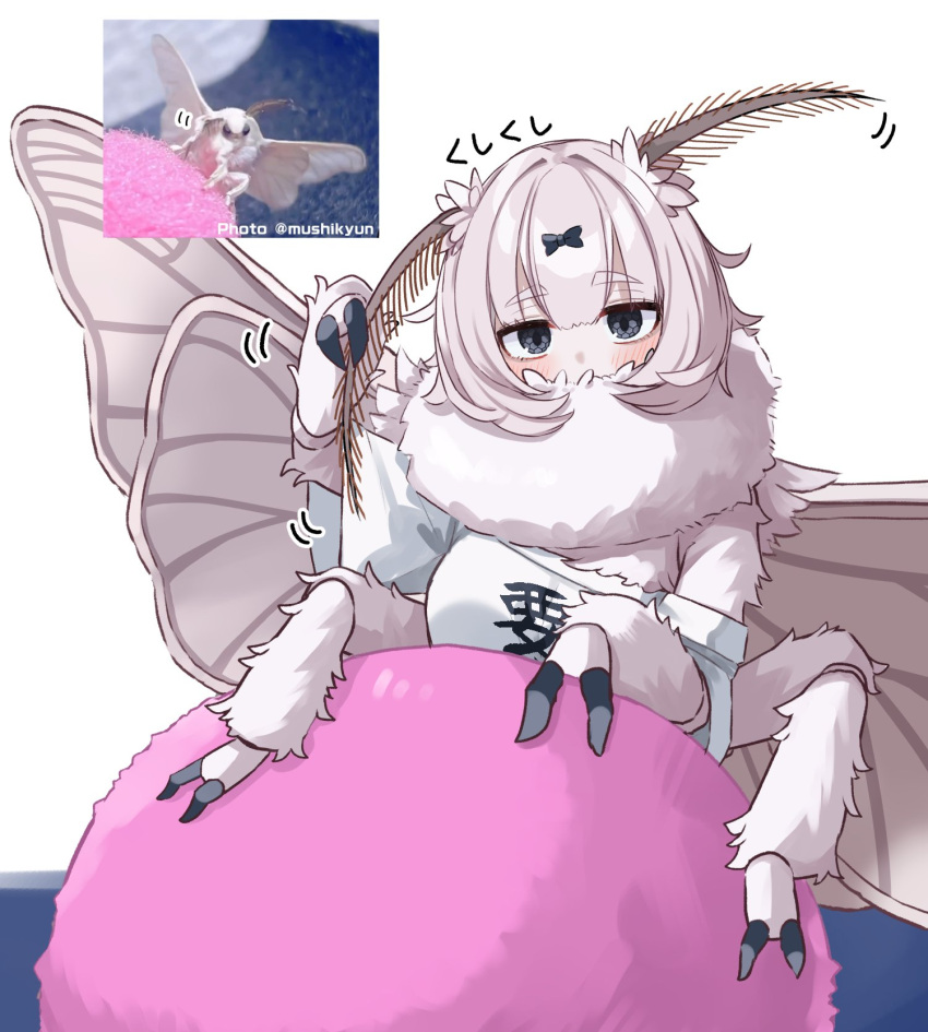 1girl, arthropod_girl, arthropod_limbs, black_bow, black_eyes, blush, bow, breasts